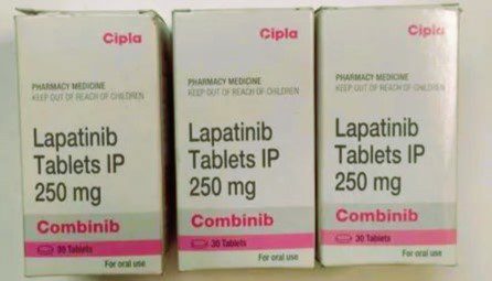 Lapatinib4